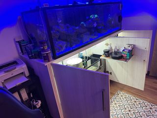 Acuario Marino Completo