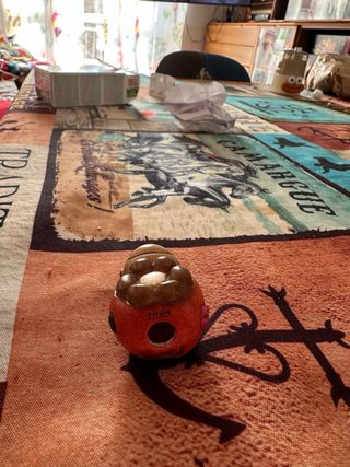 Coccinella Rossa Thun