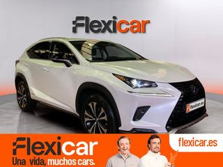 Lexus NX 2.5 300h Business 2WD