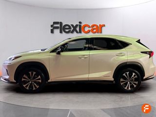 Lexus NX 2.5 300h Business 2WD
