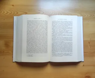 El ingenioso hidalgo Don Quijote de la Mancha (E)