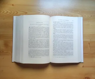 El ingenioso hidalgo Don Quijote de la Mancha (E)