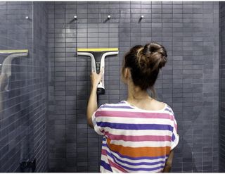 Kärcher WV 7 Signature Line Limpiacristales