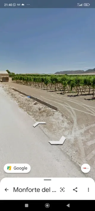 Terreno rústico Monforte del cid partida walaig