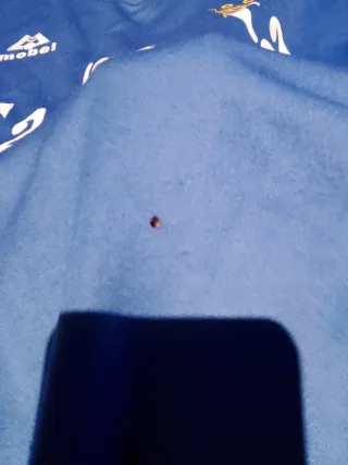 Camiseta futbol Xerez Mobel leer