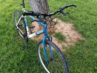 Bicicleta de montaña con regalo