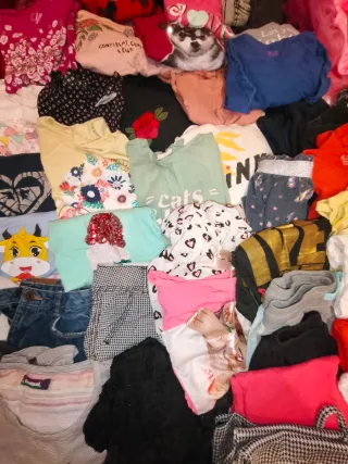 Lote 59 prendas de  Ropa Niña Variada Tallas 6-9