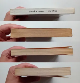 Nebbia e girasoli di Diego Are