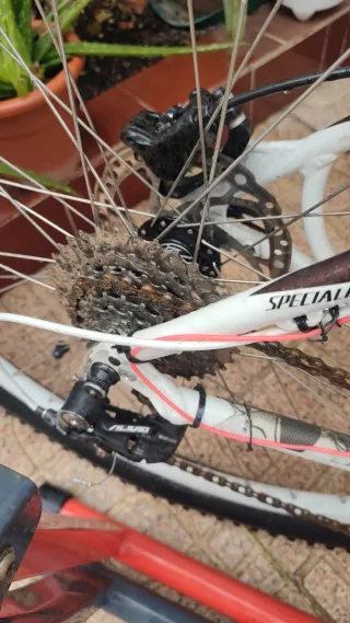 Bicicleta de Montaña Specialized