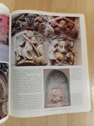 El camino de Santiago.