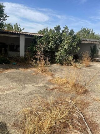 Cortijo en venta en Alcalá del Río