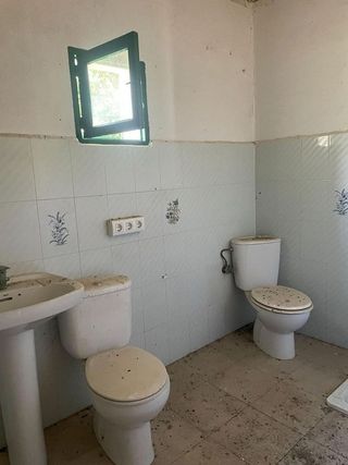 Cortijo en venta en Alcalá del Río