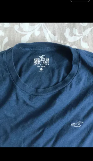 Camiseta Hollister Manga Larga Color Block