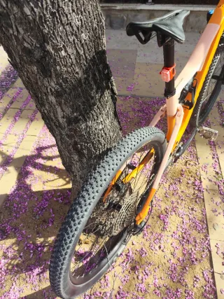 Orbea Oiz H30  (2024)