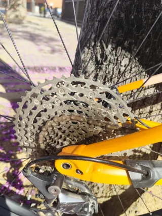 Orbea Oiz H30  (2024)