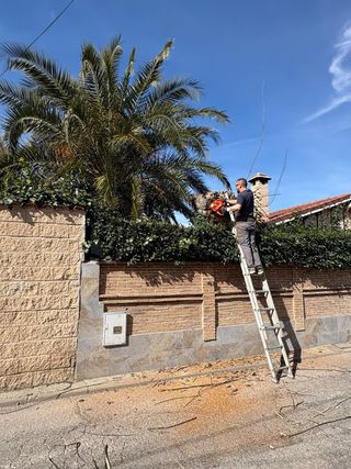 JARDINERO ESPAÑOL ALTAMENTE CUALIFICADO