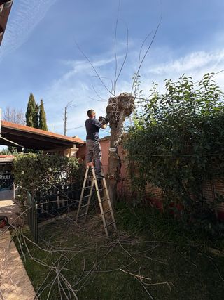 JARDINERO ESPAÑOL ALTAMENTE CUALIFICADO