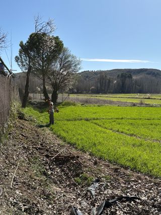 JARDINERO ESPAÑOL ALTAMENTE CUALIFICADO