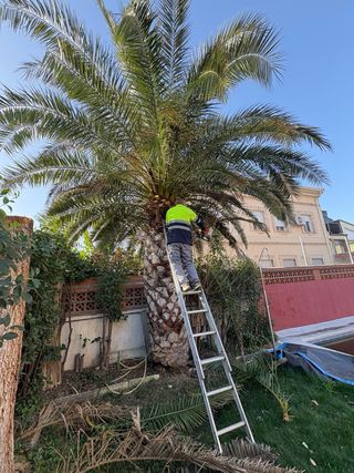 JARDINERO ESPAÑOL ALTAMENTE CUALIFICADO