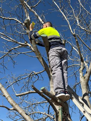 JARDINERO ESPAÑOL ALTAMENTE CUALIFICADO