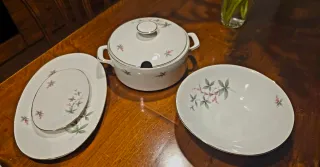 Set 41 pezzi piatti Bavaria