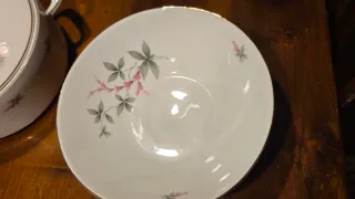 Set 41 pezzi piatti Bavaria