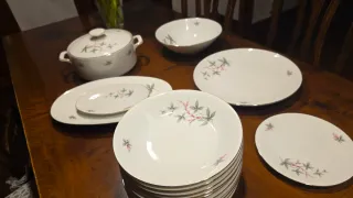 Set 41 pezzi piatti Bavaria