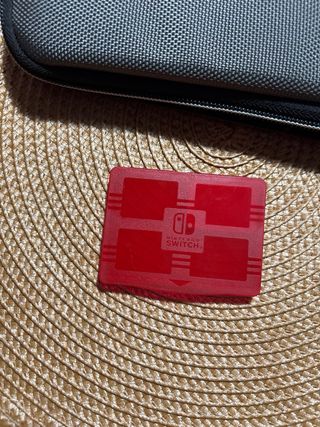 Custodia protettiva per Nintendo Switch Lite