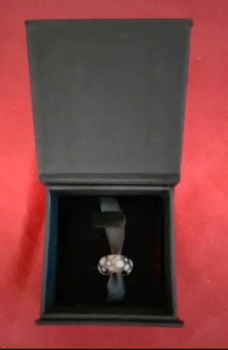 Bead Conchiglia Tropicale (Tropical Conch Bead)