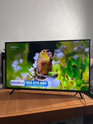 Thomson 43 Smart TV Android