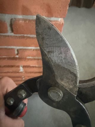 Tijeras de podar Bahco pradiness NEGOCIABLE