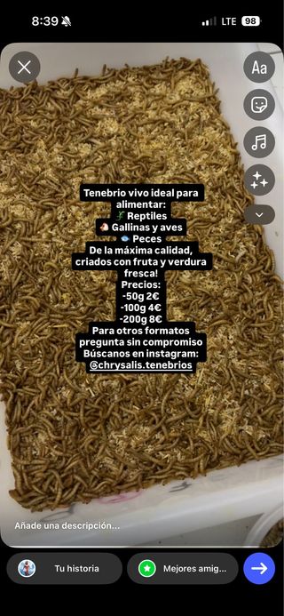 Abono de tenebrio