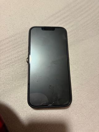 iPhone 13 Pro 256GB Plata 92% Batería