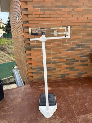 Báscula romana profesional para consulta