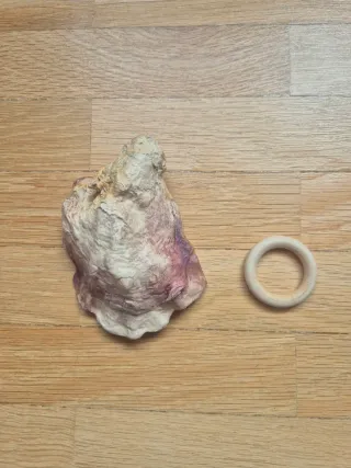 Ostra decorativa Marina Sapiens con soporte