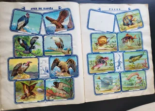 Álbum Cromos Chocolates Primitiva Indiana. Complet