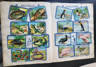 Álbum Cromos Chocolates Primitiva Indiana. Complet