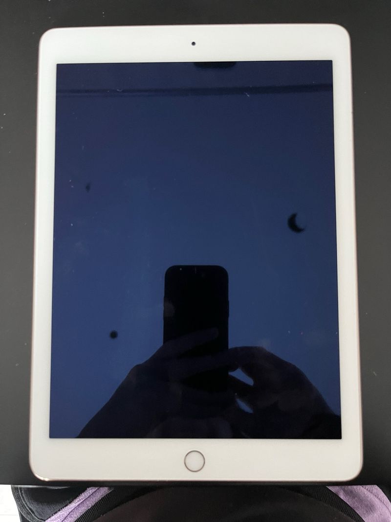 Apple iPad Air 2