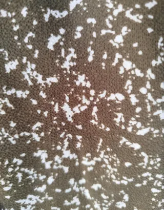 Camisa Adolfo Dominguez Estampada Marrón