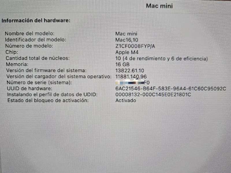 Mac mini M4 10 núcleos 16GB/256GB Ethernet 10G afbeelding 10
