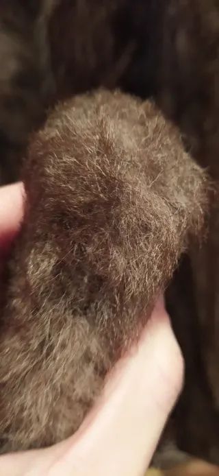 Abrigo de piel marrón