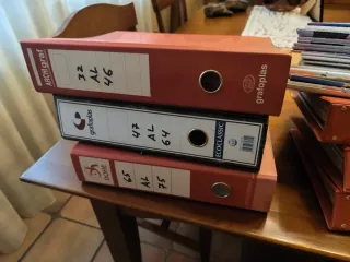 Colección de revistas miniauto