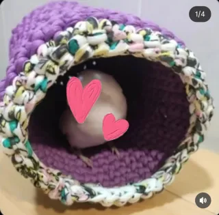 Nido/cama para pájaros o roedores