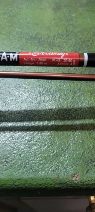 Caña de pesca Daiwa WF 6-86