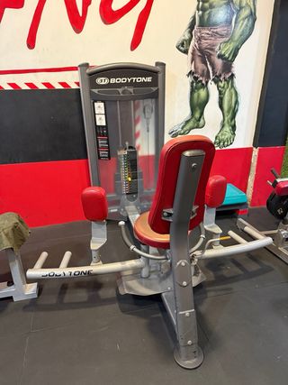 Máquina Dual Bodytone Abductores