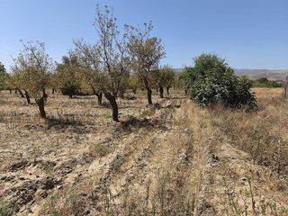 Terreno en venta en Dúrcal