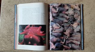 LIBRO LOS REINOS DEL MAR.-NATIONAL GEOGRAPHIC