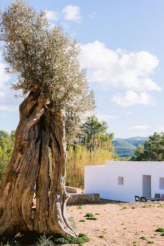 Chalet en alquiler en Sant Joan de Labritja