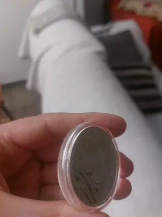 Moneda Plata 30g Ag.999 Panda