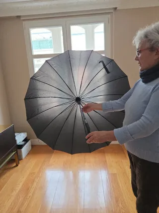 Paraguas automático negro